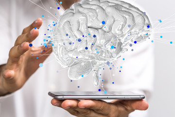 二本财经类大学排名