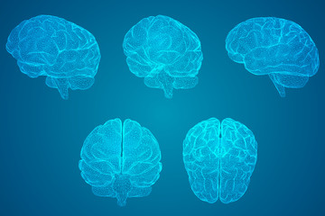 十大耐用笔记本排行榜