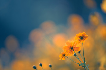 交强险对方不配合可以理赔吗