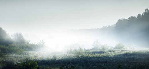 交通事故中的主次责任怎么划分比例