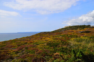 厦门金山二手市场