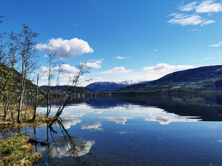 十大耐用笔记本排行榜