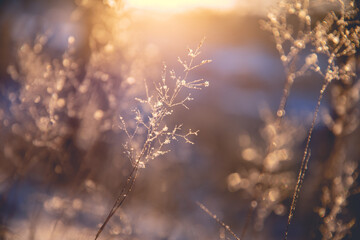 井大·魅力天城周边环境怎么样？