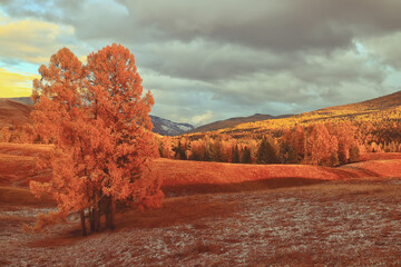 交通事故中的主次责任怎么划分比例