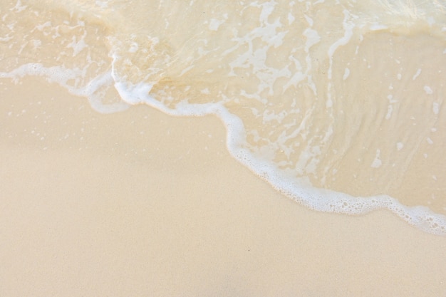 厦门金山二手市场