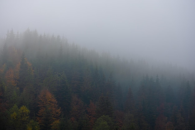 华为matebook16可以触屏吗