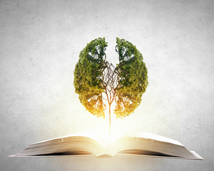 井大·魅力天城周边环境怎么样？