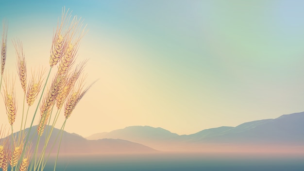 二手苹果笔记本macbook卖多少钱