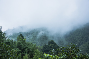 二手苹果笔记本macbook卖多少钱